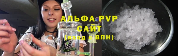 индика Богданович