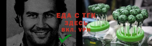 индика Богданович
