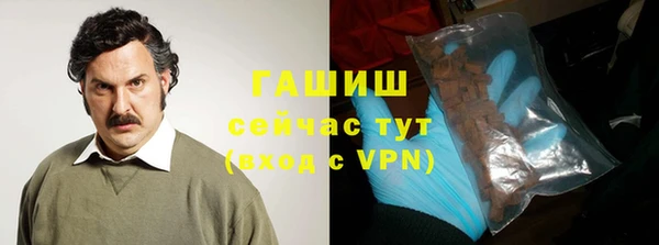 индика Богданович