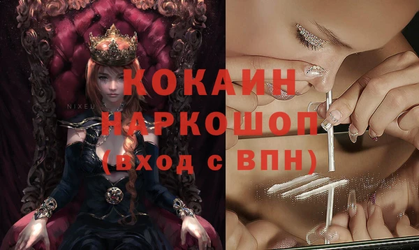 индика Богданович