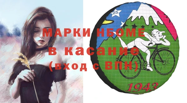 индика Богданович