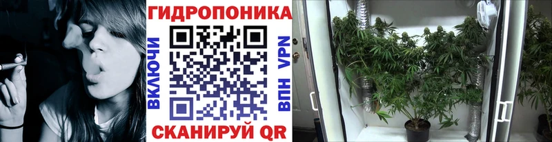 Шишки марихуана Ganja  Сердобск 